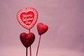 Valentine Royalty Free Stock Photo