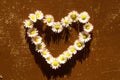 Valentine Background With Daisies Heart Royalty Free Stock Photo