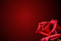 Valentine background Royalty Free Stock Photo
