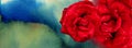 Valentine banners with Red rose, water drops and multicolored watercolor background