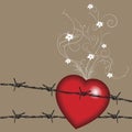 Valentine barbwire