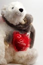 Valentine Bear Hug Royalty Free Stock Photo