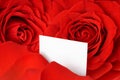 Valentine card amidst red roses and petals