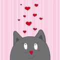 Valentine card with gray cat looking from the bottom of the page Royalty Free Stock Photo