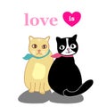 Valentine card with two cute cats hand drawn cartoon vector.happy valentine day.love is ...concept Royalty Free Stock Photo