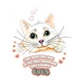 Valentine card, funny cat confesses its love