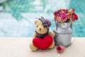 Valentine concept background of cute teddy bear with red heart and rose paper flower pot Royalty Free Stock Photo