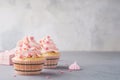 Valentine cupcakes decorated with sweet hearts and a gift box Royalty Free Stock Photo