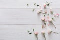 Valentine day background, petals and flowers on white wood Royalty Free Stock Photo