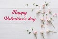 Valentine day background, petals and flowers on white wood Royalty Free Stock Photo