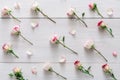 Valentine day background, rose flowers on white wood Royalty Free Stock Photo