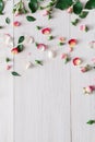 Valentine day background, rose flowers on white wood Royalty Free Stock Photo