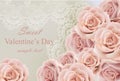 Valentine day Card with delicate roses and lace Vector