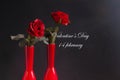 Valentine day february with red rose valentijn