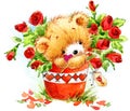 Valentine day. Funny teddy bear and red heart. Royalty Free Stock Photo