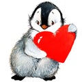 Valentine day penguin, red heart