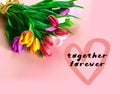 Valentine day  tulip spring flowers  colorful  festive bouquet floral banner on pink ,,lettering happy wishes quotes text , and wo Royalty Free Stock Photo