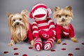 Valentine dogs