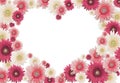 Valentine flower card Royalty Free Stock Photo