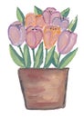 Valentine flower pastel watercolor art