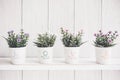 Valentine Flower. Wood white wall with flower on shelf for lover couple.