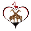 Valentine giraffe