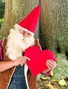 Valentine gnome