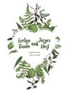 Valentine greeting card, invite card. Vector watercolor style herbs, eucalyptus, forest fern, waxflower. Natural, branches