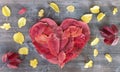 Valentine heart of red autumn leaves that lie on a shabby retro gray Desk among scattered yellow leaves