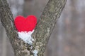 Valentine heart between two trees in the snow