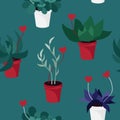 Valentine indoor plants