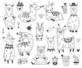 Valentine llama collection.