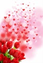 Valentine love card red tulip flower red and pink heart pink background green leaf Royalty Free Stock Photo