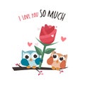 Valentine owls in love. Giving a big flower