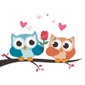 Valentine owls in love. Giving a flower