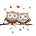 Valentine owls in love on a white background. Greeting card design Royalty Free Stock Photo