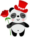 Valentine panda with red hat holding a red rose