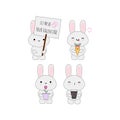 Valentine rabbit set