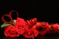 Valentine red rose Royalty Free Stock Photo