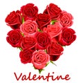 Valentine red roses