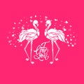 Valentine romantic card, two pink flamingos in love, vector illustration Royalty Free Stock Photo