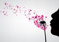 Valentine`s background with love dandelion. Royalty Free Stock Photo