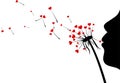 Valentine`s background with love dandelions. Royalty Free Stock Photo