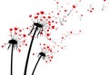 Valentine`s background with love dandelions.