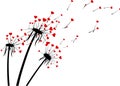 Valentine`s background with love dandelions.