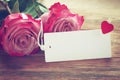 Valentine`s day background, two pink roses, white empty label Royalty Free Stock Photo