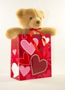 Valentine's Day Bear in Gift Bag