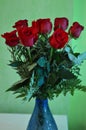 Valentine`s Day beautiful bouquet of red roses botany February 14th Royalty Free Stock Photo