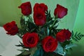 Valentine`s Day Beautiful Bouquet Of Red Roses Botany February 14th Royalty Free Stock Photo