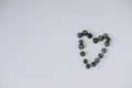 Valentine`s Day. Blueberry heart. Beautiful heart made of berries